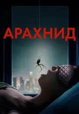 Арахнид — постер